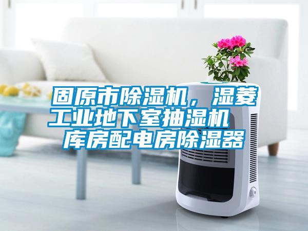 固原市除濕機，濕菱工業(yè)地下室抽濕機  庫房配電房除濕器