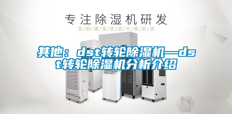 其他：dst轉輪除濕機—dst轉輪除濕機分析介紹