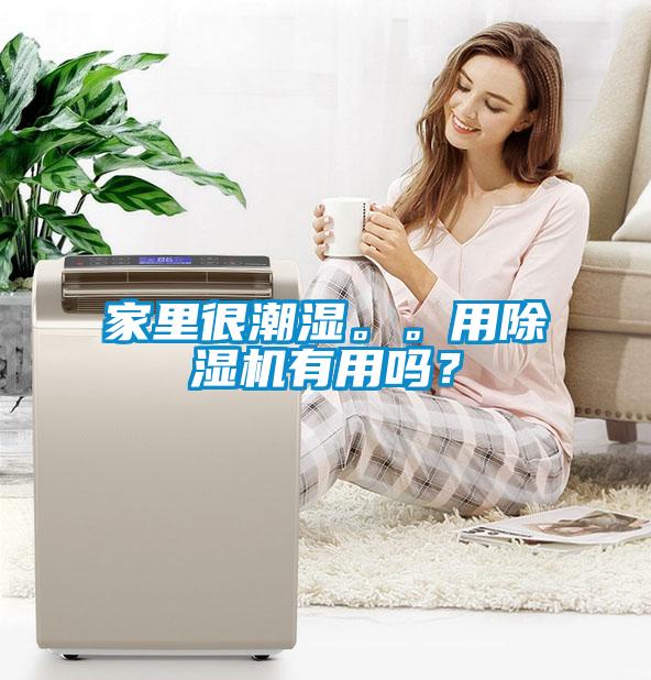 家里很潮濕。。用除濕機有用嗎？