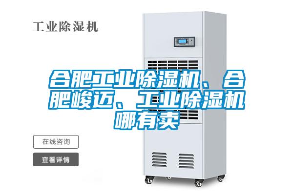 合肥工業(yè)除濕機、合肥峻邁、工業(yè)除濕機哪有賣(mài)