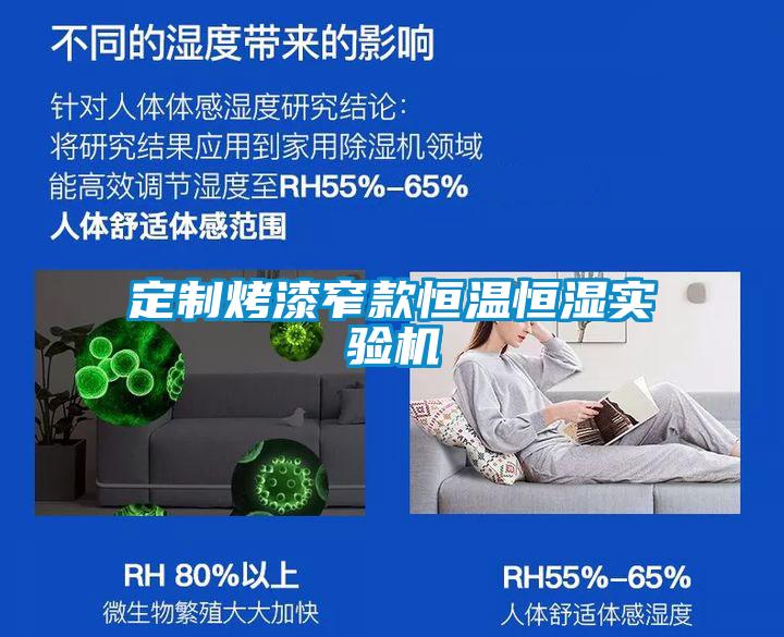 定制烤漆窄款恒溫恒濕實(shí)驗機