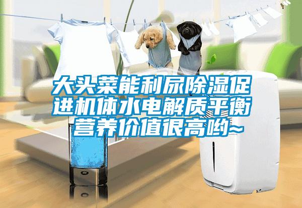 大頭菜能利尿除濕促進(jìn)機體水電解質(zhì)平衡 營(yíng)養價(jià)值很高喲~