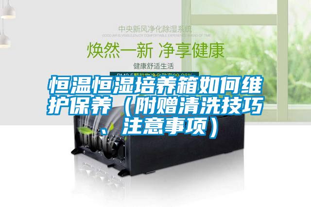 恒溫恒濕培養箱如何維護保養（附贈清洗技巧、注意事項）