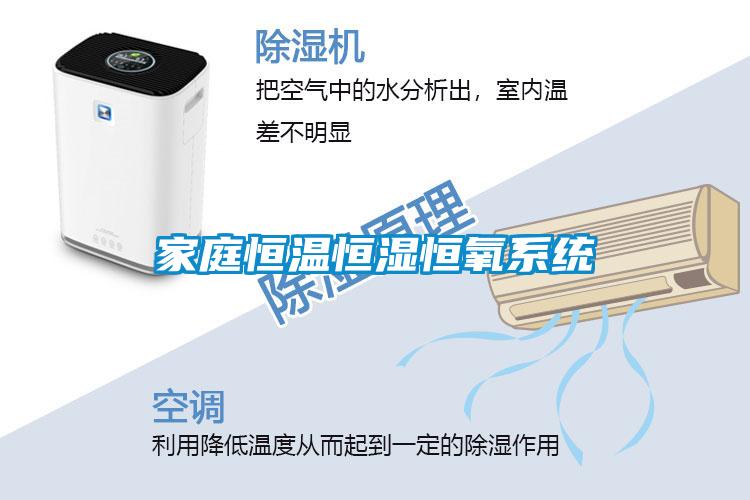 家庭恒溫恒濕恒氧系統