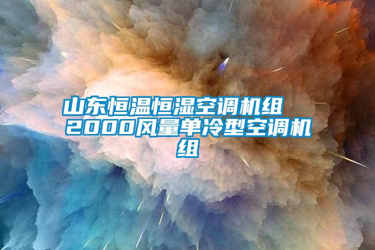 山東恒溫恒濕空調機組  2000風(fēng)量單冷型空調機組