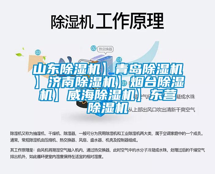 山東除濕機】青島除濕機】濟南除濕機】煙臺除濕機】威海除濕機】東營(yíng)除濕機