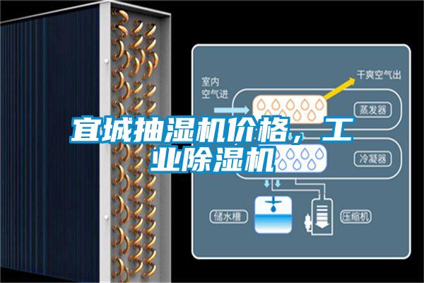 宜城抽濕機價(jià)格，工業(yè)除濕機
