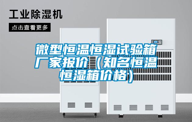 微型恒溫恒濕試驗箱廠(chǎng)家報價(jià)（知名恒溫恒濕箱價(jià)格）