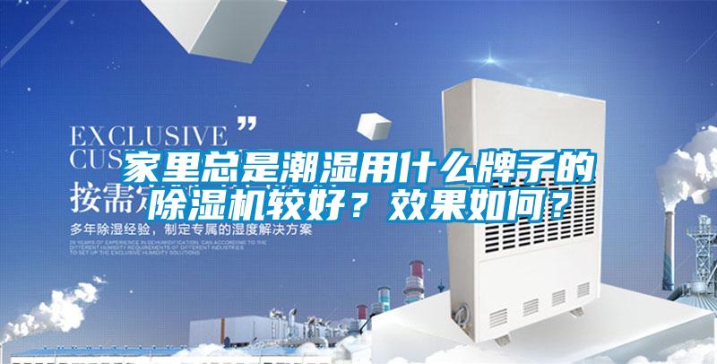 家里總是潮濕用什么牌子的除濕機較好？效果如何？