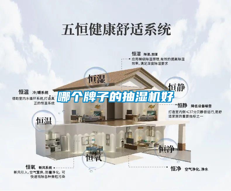哪個(gè)牌子的抽濕機好