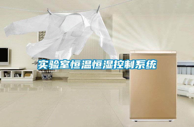 實(shí)驗室恒溫恒濕控制系統