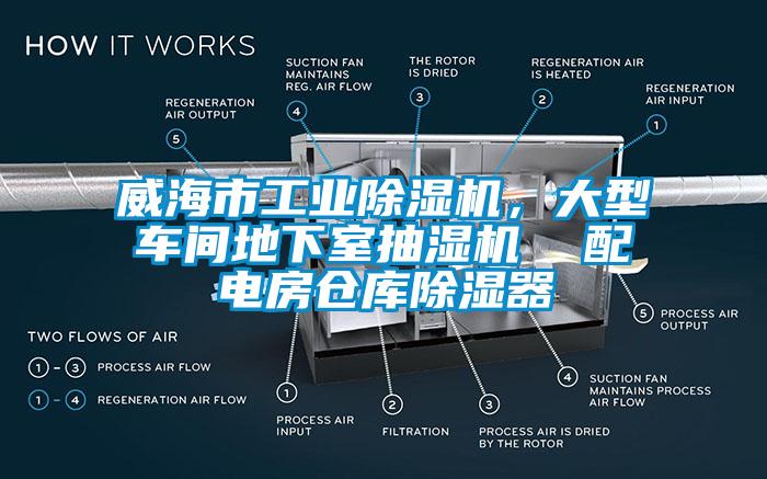 威海市工業(yè)除濕機，大型車(chē)間地下室抽濕機  配電房倉庫除濕器