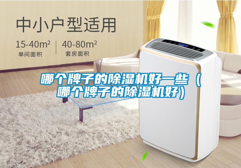 哪個(gè)牌子的除濕機好一些（哪個(gè)牌子的除濕機好）