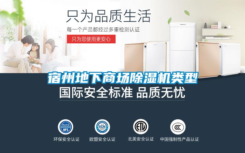 宿州地下商場(chǎng)除濕機類(lèi)型
