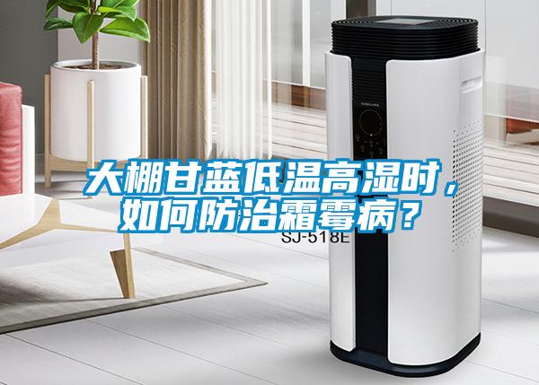 大棚甘藍低溫高濕時(shí)，如何防治霜霉??？