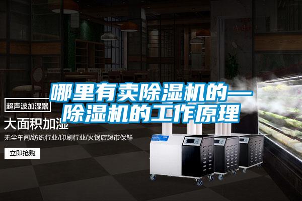 哪里有賣(mài)除濕機的—除濕機的工作原理