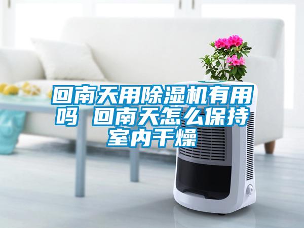回南天用除濕機有用嗎 回南天怎么保持室內干燥