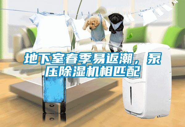 地下室春季易返潮，泵壓除濕機相匹配
