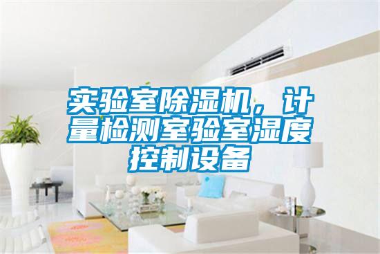 實(shí)驗室除濕機，計量檢測室驗室濕度控制設備