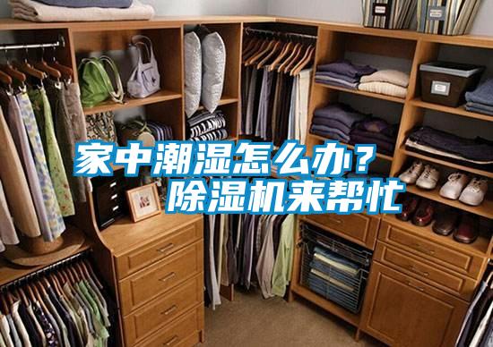 家中潮濕怎么辦？    除濕機來(lái)幫忙