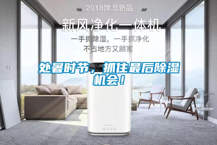 處暑時(shí)節，抓住最后除濕機會(huì )！