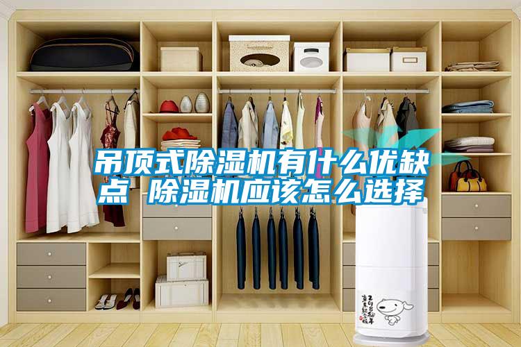 吊頂式除濕機有什么優(yōu)缺點(diǎn) 除濕機應該怎么選擇