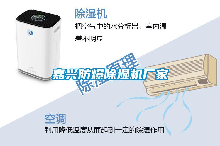 嘉興防爆除濕機廠(chǎng)家
