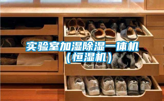 實(shí)驗室加濕除濕一體機（恒濕機）