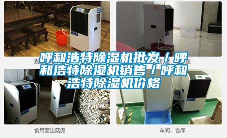 呼和浩特除濕機批發(fā)／呼和浩特除濕機銷(xiāo)售／呼和浩特除濕機價(jià)格