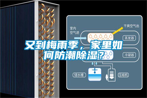 又到梅雨季，家里如何防潮除濕？