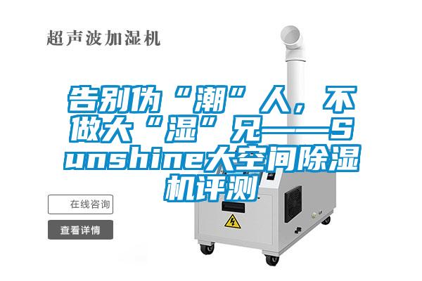 告別偽“潮”人，不做大“濕”兄——Sunshine大空間除濕機評測