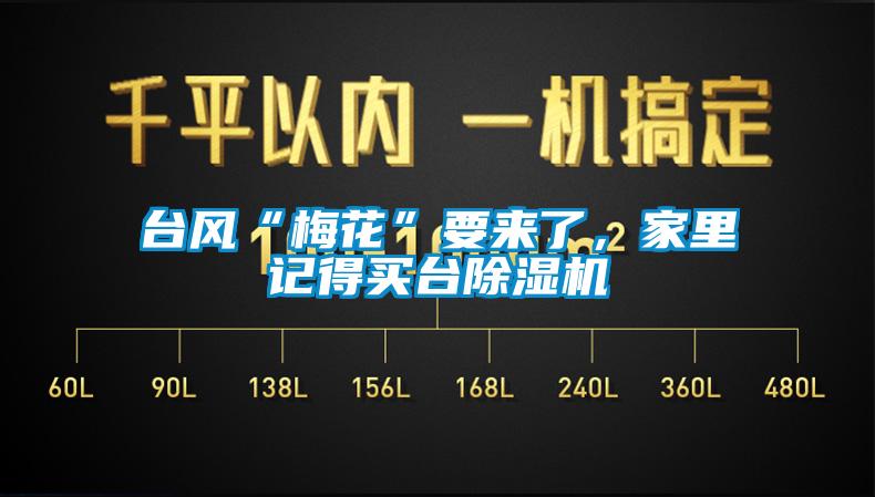 臺風(fēng)“梅花”要來(lái)了，家里記得買(mǎi)臺除濕機