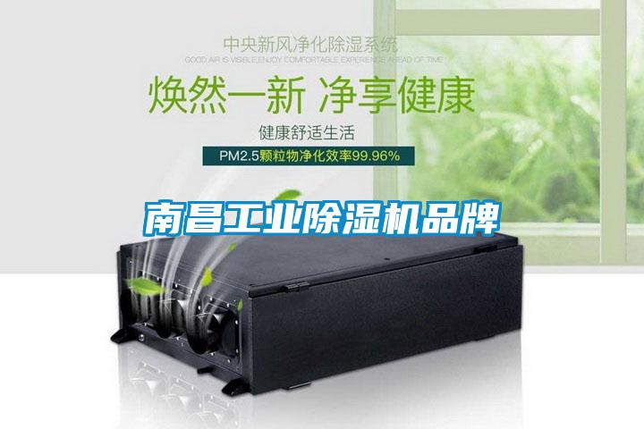 南昌工業(yè)除濕機品牌
