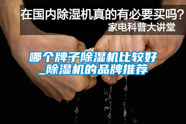 哪個(gè)牌子除濕機比較好_除濕機的品牌推薦