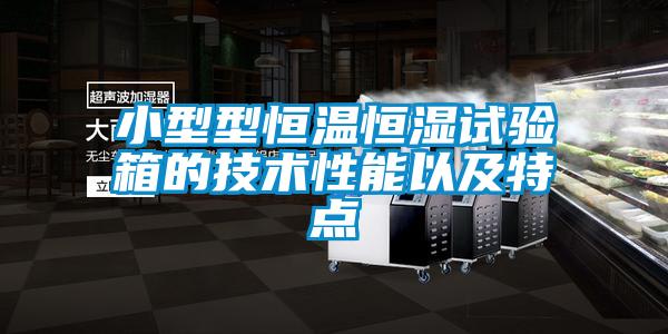 小型型恒溫恒濕試驗箱的技術(shù)性能以及特點(diǎn)