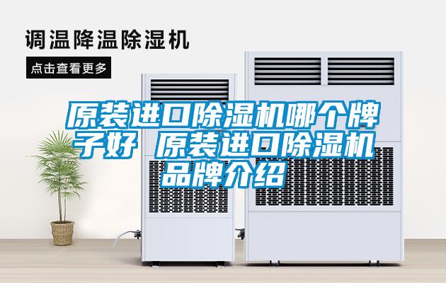 原裝進(jìn)口除濕機哪個(gè)牌子好 原裝進(jìn)口除濕機品牌介紹