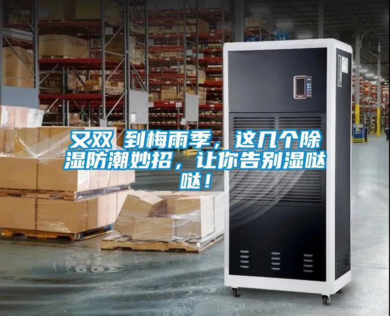 又雙叒到梅雨季，這幾個(gè)除濕防潮妙招，讓你告別濕噠噠！