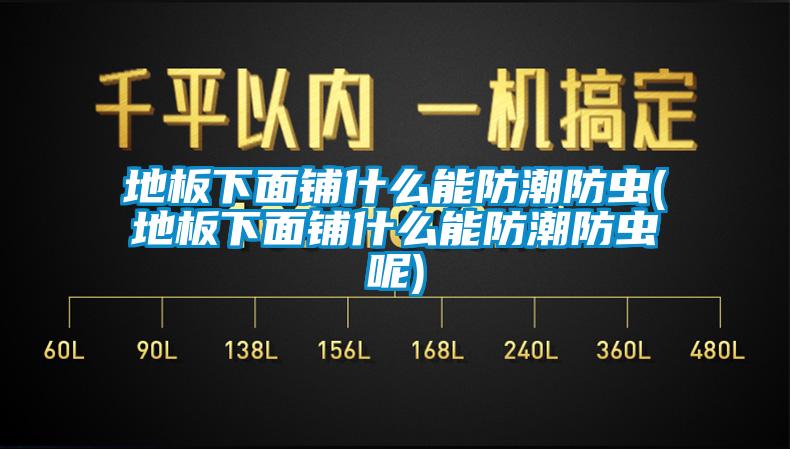地板下面鋪什么能防潮防蟲(chóng)(地板下面鋪什么能防潮防蟲(chóng)呢)
