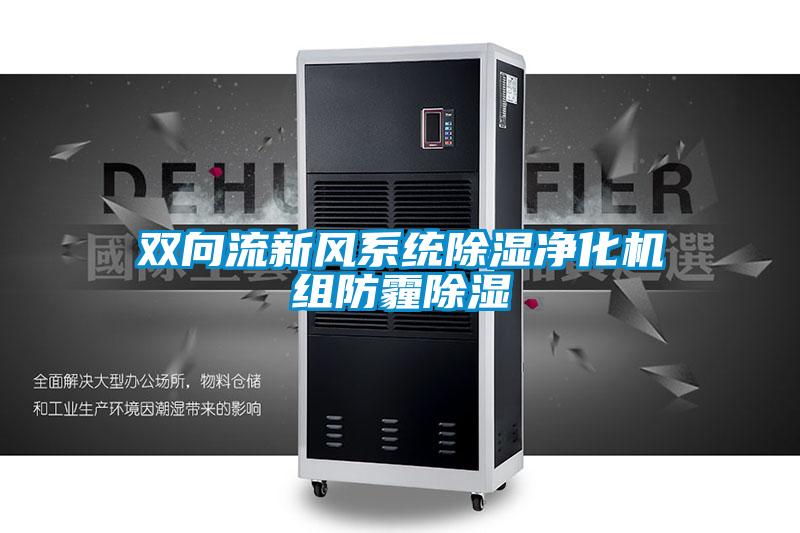 雙向流新風(fēng)系統除濕凈化機組防霾除濕