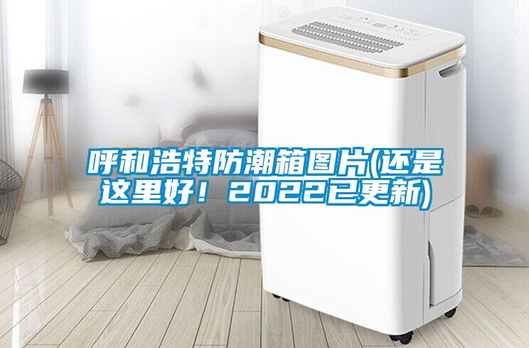呼和浩特防潮箱圖片(還是這里好！2022已更新)