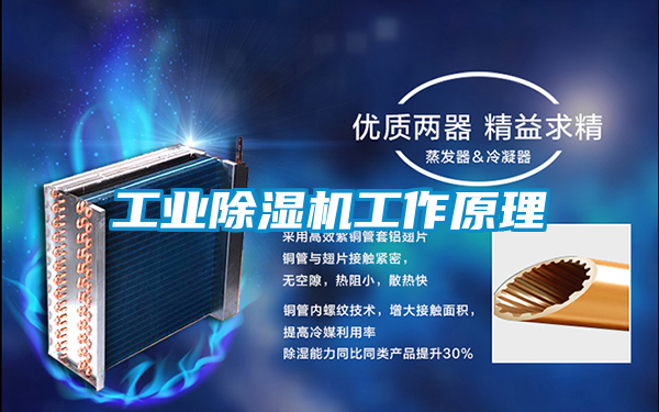 工業(yè)除濕機工作原理