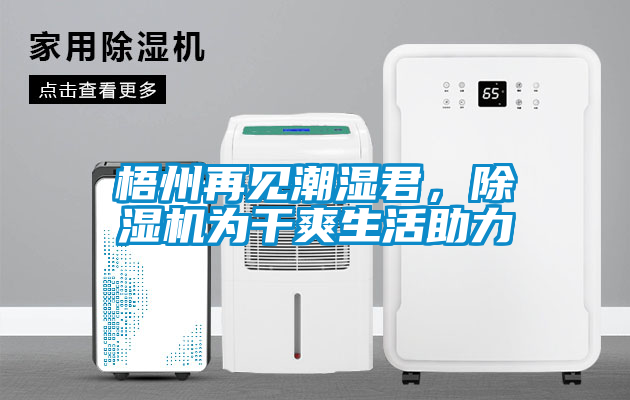 梧州再見(jiàn)潮濕君，除濕機為干爽生活助力