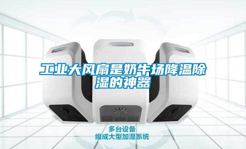工業(yè)大風(fēng)扇是奶牛場(chǎng)降溫除濕的神器
