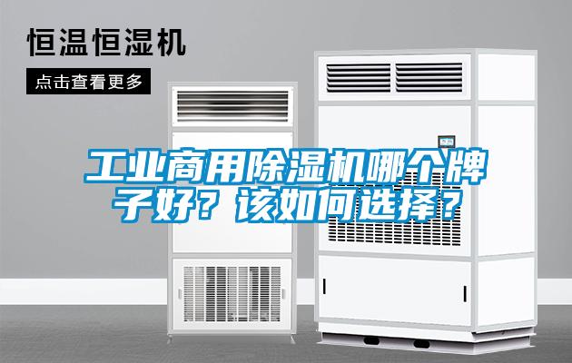 工業(yè)商用除濕機哪個(gè)牌子好？該如何選擇？
