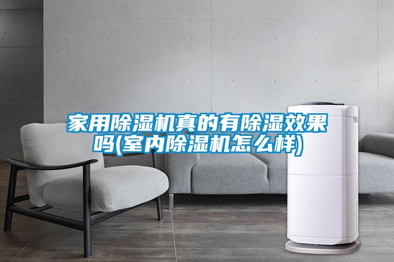 家用除濕機真的有除濕效果嗎(室內除濕機怎么樣)
