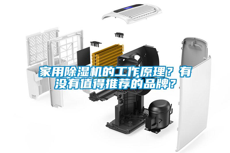 家用除濕機的工作原理？有沒(méi)有值得推薦的品牌？