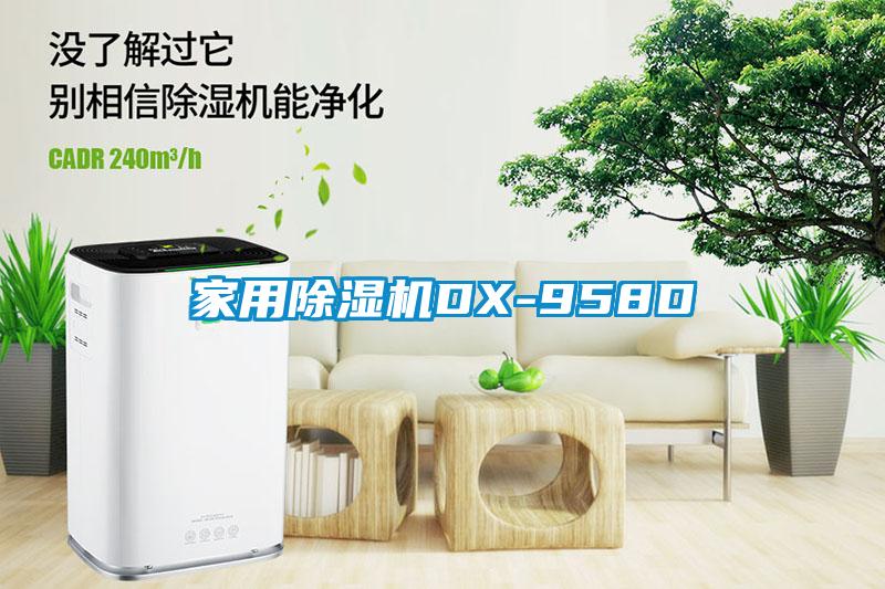 家用除濕機DX-958D