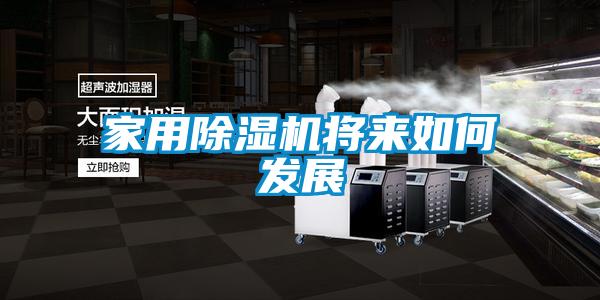 家用除濕機將來(lái)如何發(fā)展