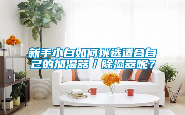 新手小白如何挑選適合自己的加濕器／除濕器呢？