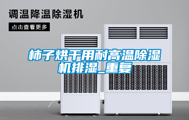 柿子烘干用耐高溫除濕機排濕_重復